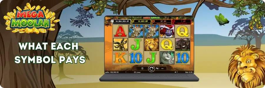 A reminder to set deposit and time limits before playing Mega Moolah at licensed Australian casinos.
